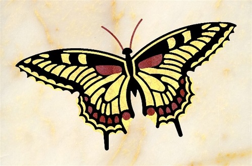 564 Butterfly